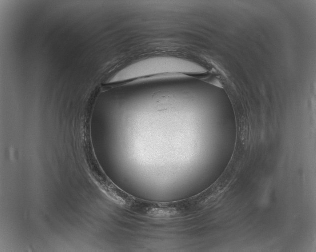 X0000082750455200702162004