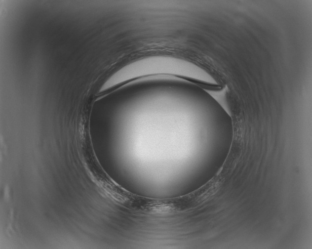 X0000082750456200702162004