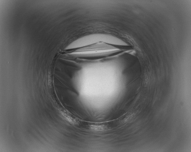 X0000082750457200702162004