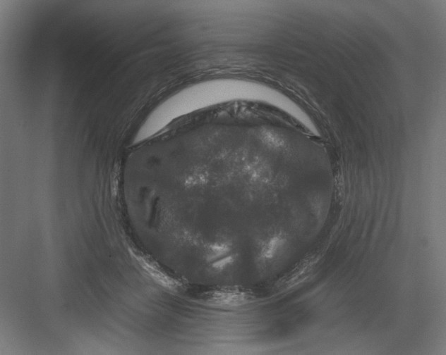 X0000082750458200702162004