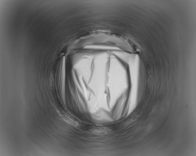 X0000082750459200702162004