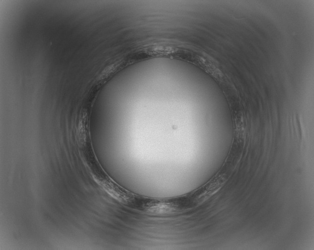 X0000082750460200702162004