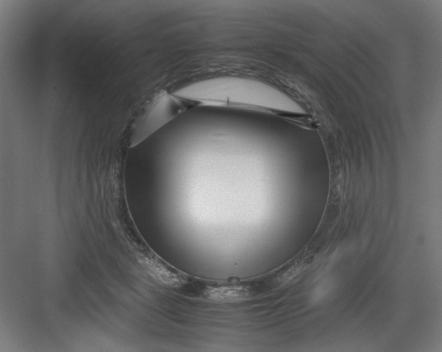 X0000082750461200702162004