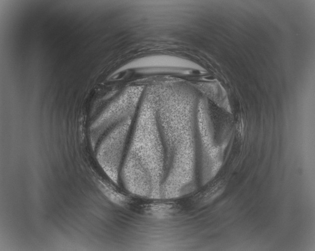 X0000082750462200702162004