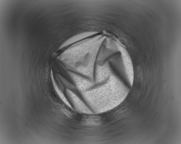 X0000082750463200702162004