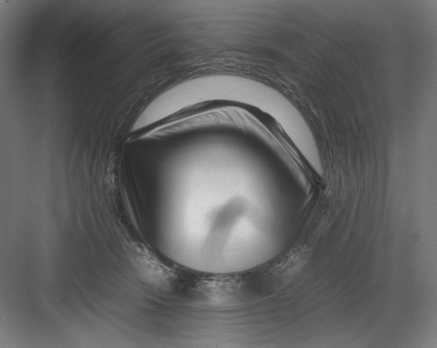 X0000082750466200702162004
