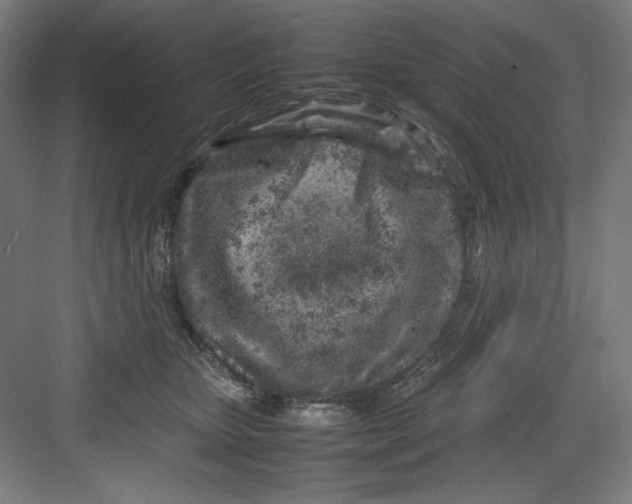 X0000082750467200702162004