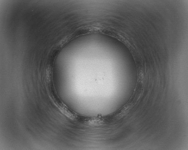 X0000082750468200702162004