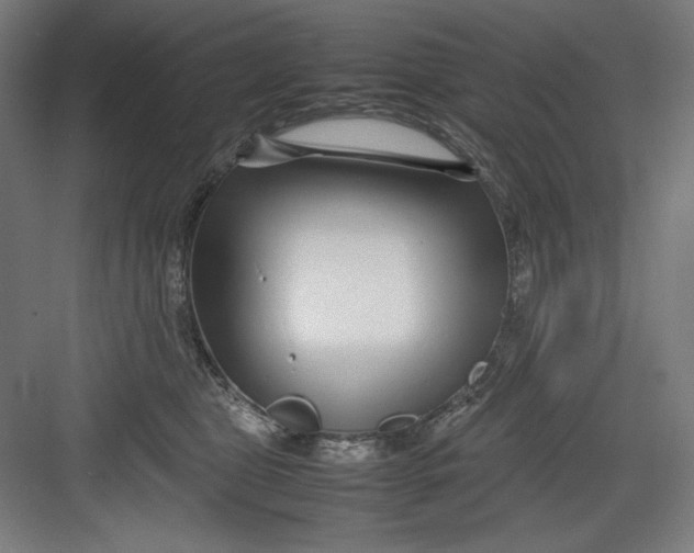 X0000082750469200702162004