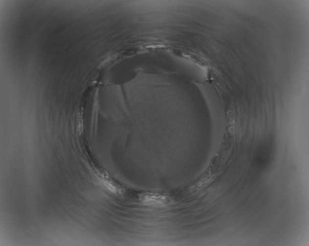 X0000082750471200702162004