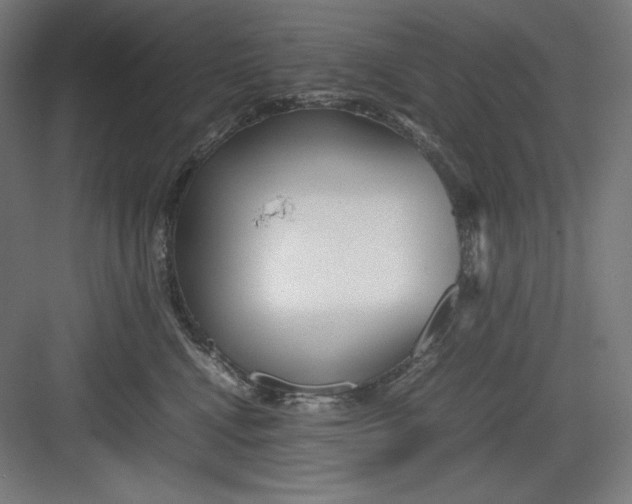 X0000082750472200702162004