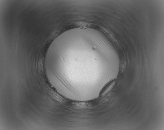 X0000082750473200702162004