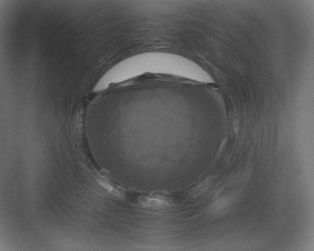 X0000082750475200702162004