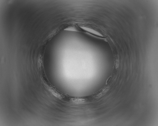 X0000082750476200702162004