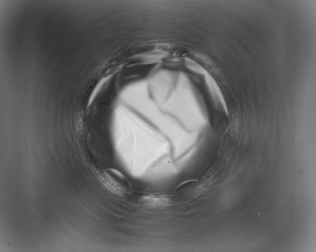 X0000082750477200702162004