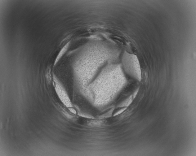 X0000082750479200702162004