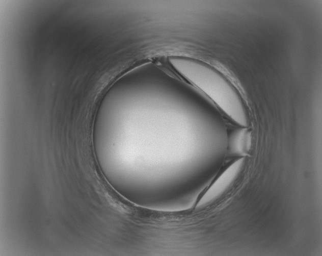 X0000082750481200702162003