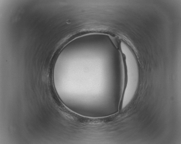 X0000082750483200702162003