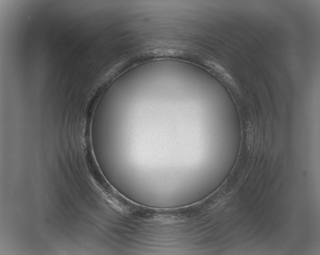 X0000082750490200702162003
