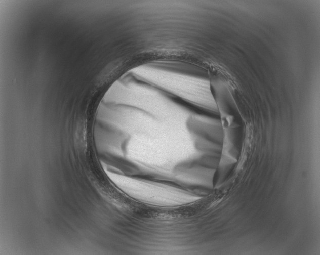 X0000082750494200702162003