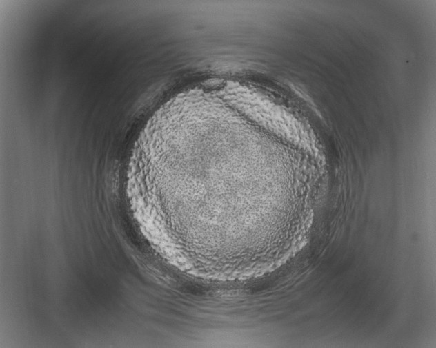 X0000082750495200702162003
