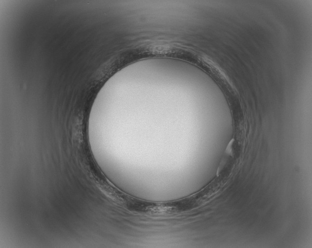 X0000082750497200702162003