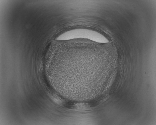X0000082750499200702162003