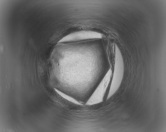 X0000082750503200702162003