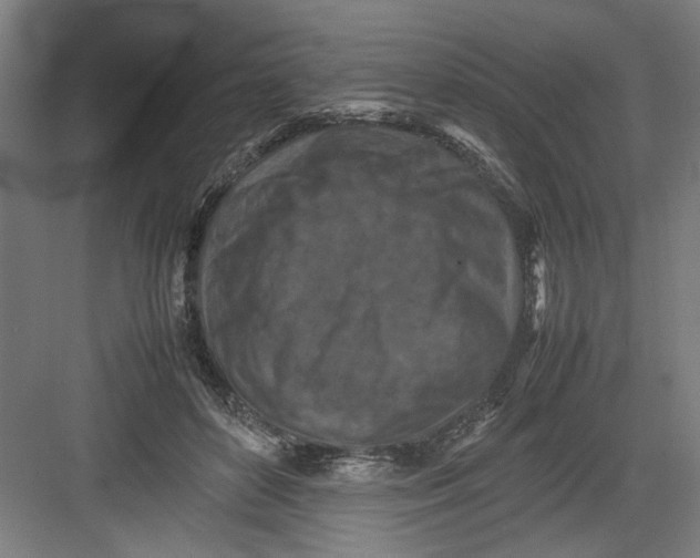 X0000082750504200702162003