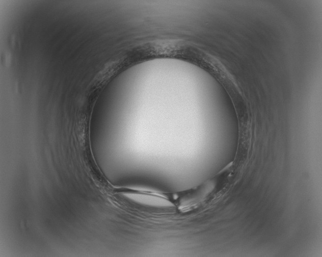X0000082750505200702162003