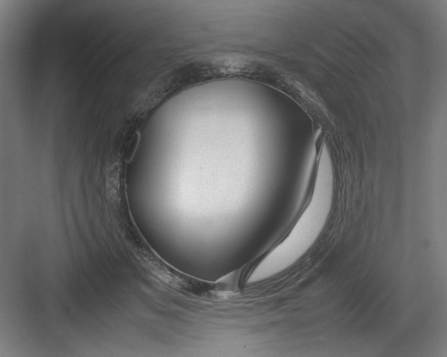 X0000082750509200702162003