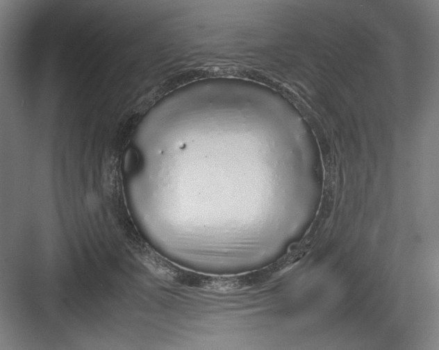 X0000082750511200702162003