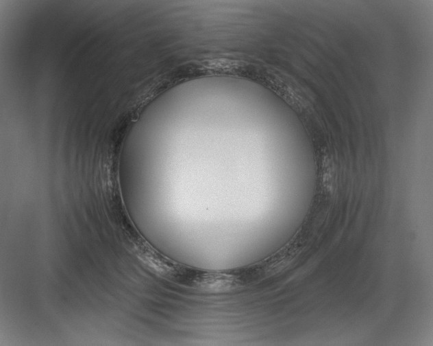 X0000082750514200702162003