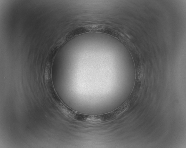 X0000082750515200702162003
