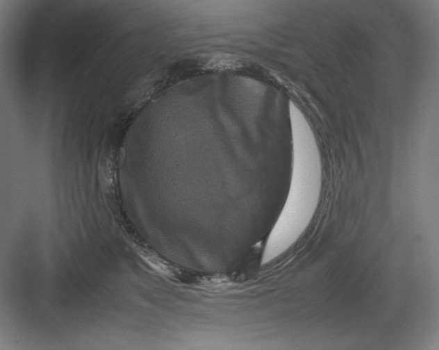X0000082750517200702162003