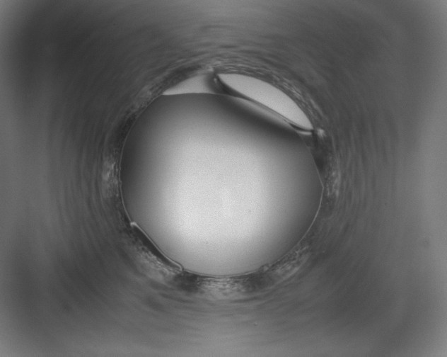 X0000082750521200702162003