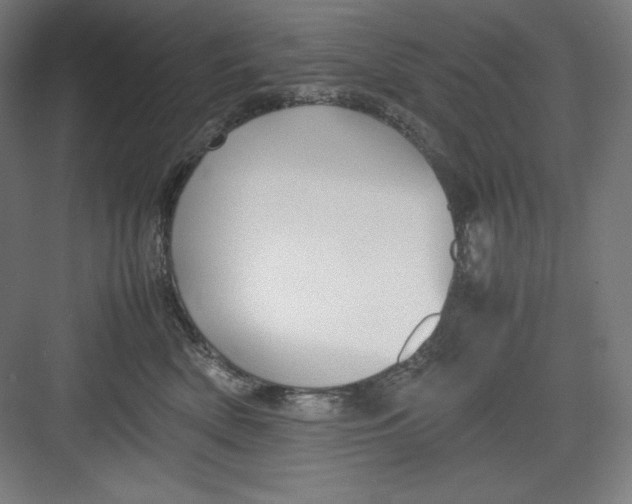 X0000082750522200702162003