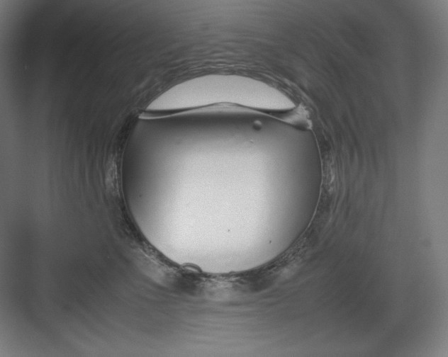 X0000082750523200702162003