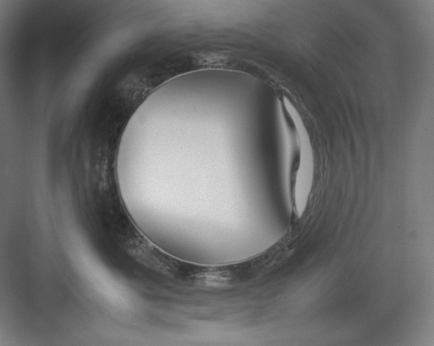 X0000082750525200702162003