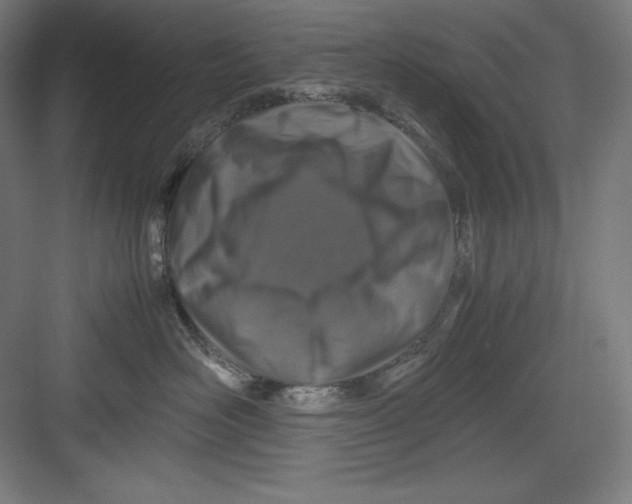 X0000082750526200702162003