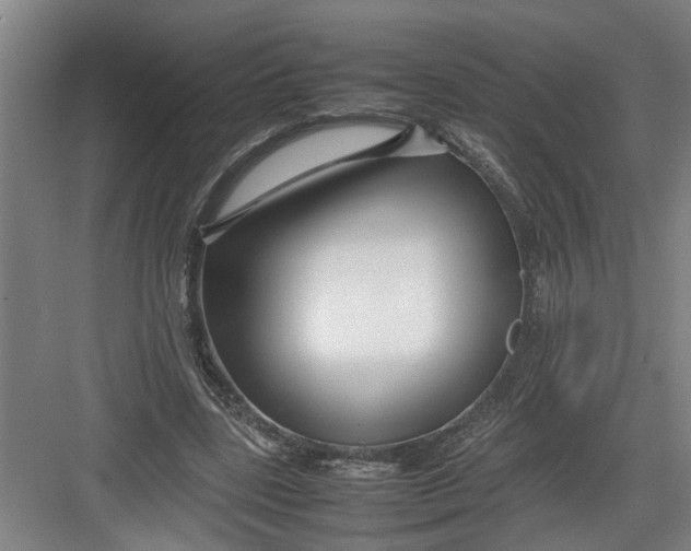 X0000082750539200702162002