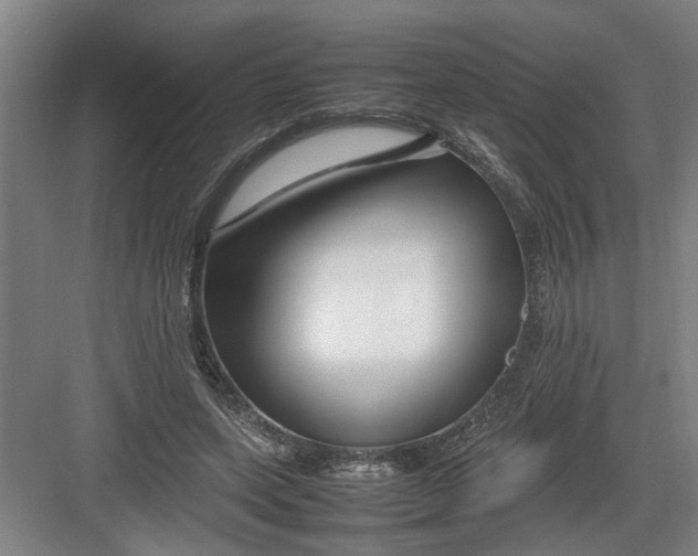 X0000082750543200702162002