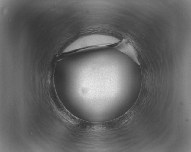 X0000082750546200702162002