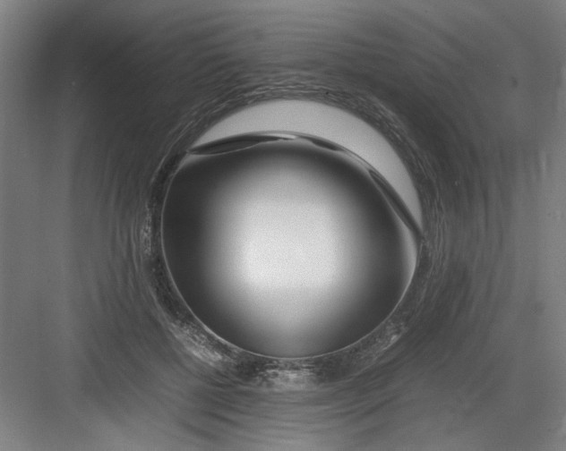 X0000082750552200702162002