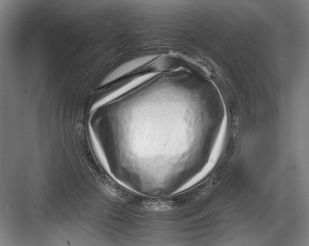 X0000082750553200702162002