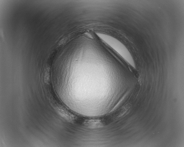 X0000082750554200702162002