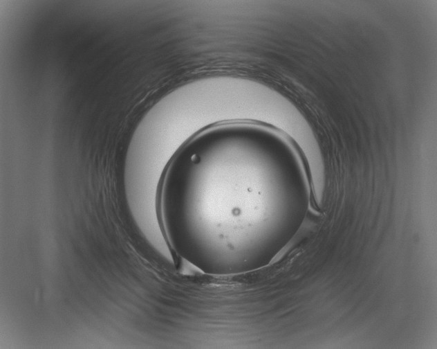 X0000082750556200702162002