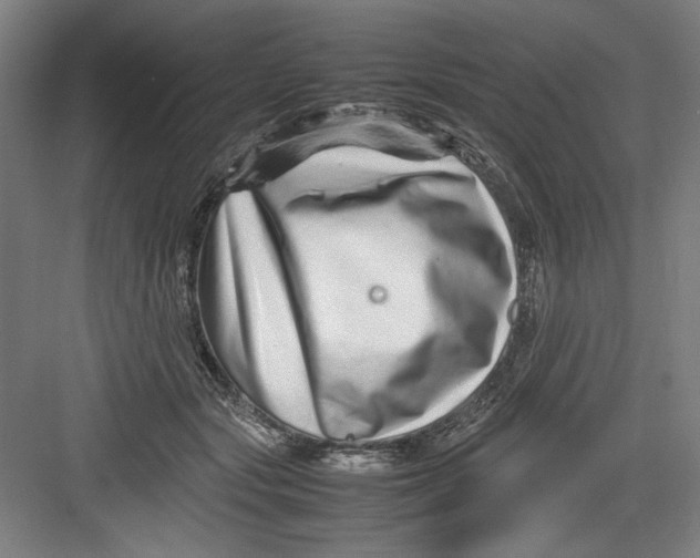 X0000082750557200702162002