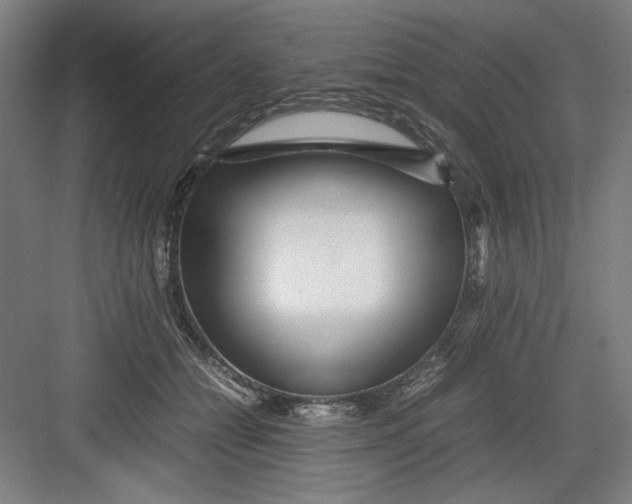 X0000082750558200702162002