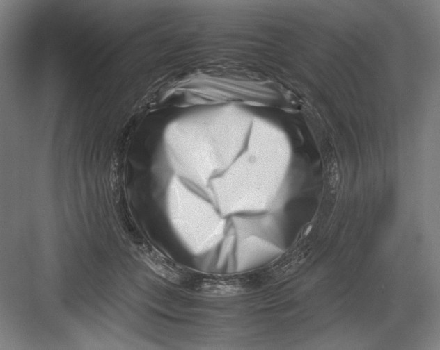 X0000082750559200702162002
